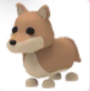 Dingo - Adopt Me Roblox