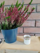 Porcelanowa filiżanka espresso. Sygnatura Echt Kobalt