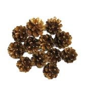 Polskie naturalne SZYSZKI SOSNOWE Florystyka Dekor Stroik złote 12 szt.