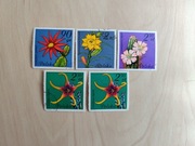 Znaczki polskie 1981: Kwiaty sukulentów – kaktusy, PRL, vintage