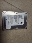 Dysk twardy SEGATE 3,5" 250Gb 