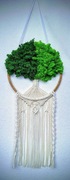 Drzewko z makramy z mchem