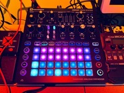 (zamiana?)Novation Circuit Mono Station syntezator sekwencer