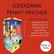 Dzierżawa Automatów Zarobkowo-Rozrywkowych Pusher