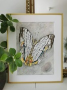 Motyl z Hanoi, akwarela , format A3 