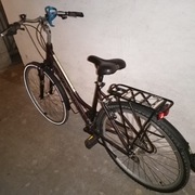 Rower Kross Trans Siberian damski L