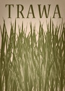 Trawa, Limitowana seria pleban plakat, plakat polski