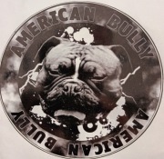 american bully nalepka  bully