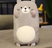 Maskotka poduszka kot kawaii dla dzieci 50cm