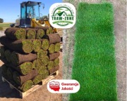 -> TRAWA w Rolkach Ogrodowa | Producent Polski | TRANSPORT pod dom