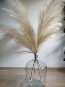 Sztuczna trawa pampasowa 