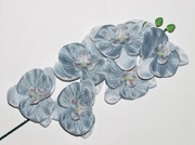 Storczyk Gałązka – Stalowy Błękit – Dusty Blue – Loft