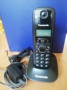 Telefon stacjonarny Panasonic model KX-TG1611PD