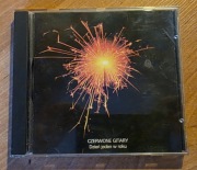 Album CD - Czerwone Gitary – Dzień jeden w roku (1992)