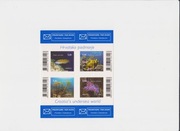 Fauna morska - Chorwacja, czysty blok