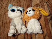 Pieski Ty husky i Cookie maskotki