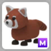 Red Panda (M) Adopt Me! Roblox
