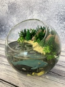 Szukasz prezentu który naprawdę zachwyci?