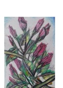 Dziesięć   Nierozkwitniętych   Różyczek   