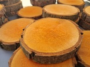 Plastry Krążki - Olcha - Zestaw 25 szt.