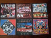 Vlepki Polonia Bytom #6