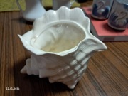 Wazonik misa w kształcie muszli konchy