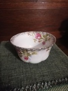 Flaczarka złota róża