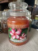 Country Candle świeca duza Blooming Plumeria 680g dwa knoty USA 