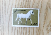 Znaczek, Rumunia, 1984, Koń lipicański (kasowany)