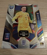 Road to FIFA world cup Pickford 