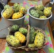 Kiwano, ogórek kolczasty