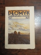 Płomyk tygodnik dla dzieci i młodzieży 29.10.1934