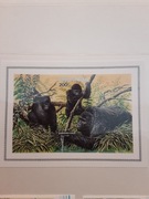 Rwanda 1985  Mi blok 103  B   CIĘTY  40  € WWF  malpa goryl blok idealny