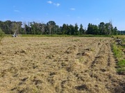 Koszenie mulczowanie działek budowlanych, rolnych od 0,5ha