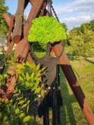 Drzewko makramowe z chrobotkiem w kolorze czarnym Boho