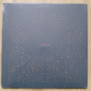 Bonobo - Flashlight EP (winyl)