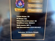 Hero Wars konto VIP 13! Wydane 5000 zł na dodatki. Złota Liga!.