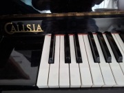 Pianino Calisia czarny lakier