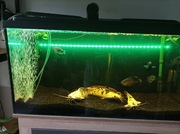 Akwarium Filtry Osprzęt Zestaw 