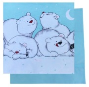 Poszewka 40x40 cm Misie miętowe 2 - Bawełna