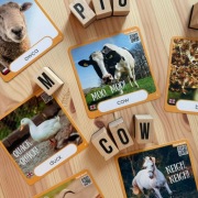 Fiszki do nauki angielskiego – ZWIERZĘTA GOSPODARSKIE | karty + AUDIO