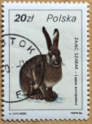 2875, * kasowany, Ptactwo i zwierzyna łowna
