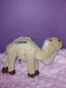 Maskotka tunisia wielbłąd pamiatka tunezja