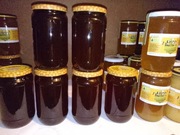 Miód leśny z bieszczad