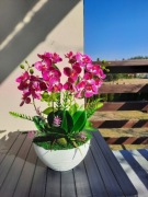 Storczyk silikonowy,super jakość,Pomysł na prezent