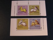 Pisklęta ptaków śpiewających Fi 3419-22** kombina