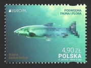 2024r. Znaczek Fi. 5376 II **.