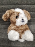 Piesek shih tzu handmade 