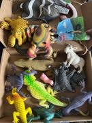 Zwierzęta sensoryczne gniotki