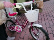 Rower Visitor Girl Liloo 16"